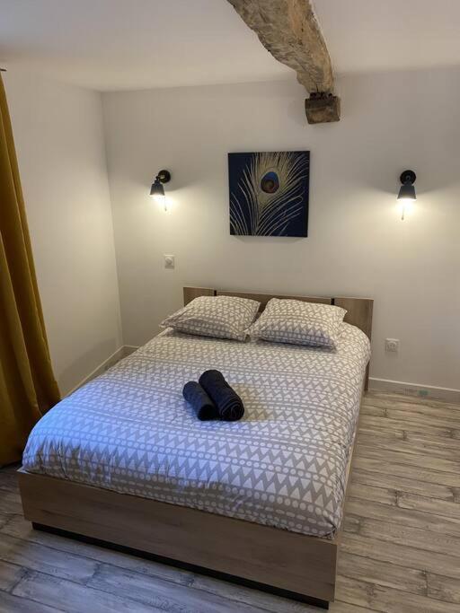 Maison Village Renovee Equipee * Saix (Tarn)